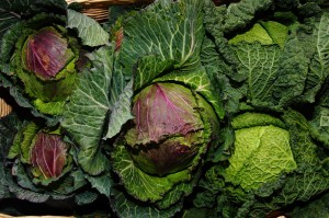 January King and Savoy cabbages