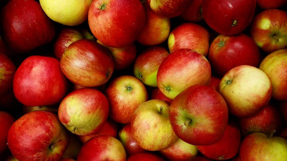 Delicious local apples are coming in thick and fast!