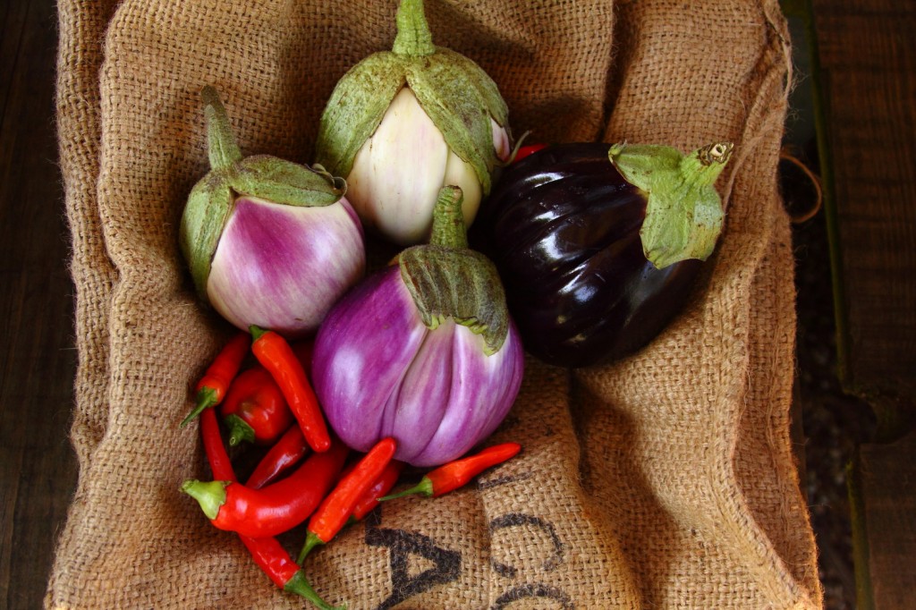 Own Grown Aubergines and Chillies