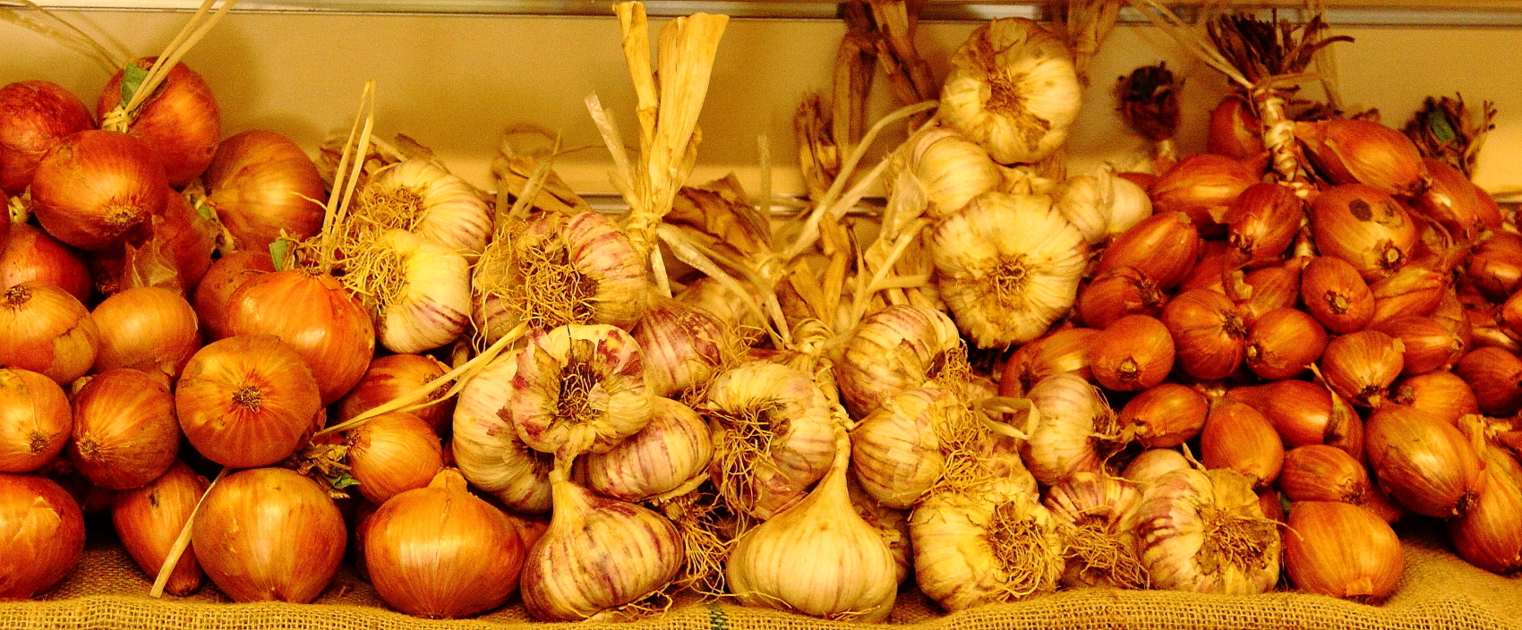 Onion, garlic & shallot strings from Brittany