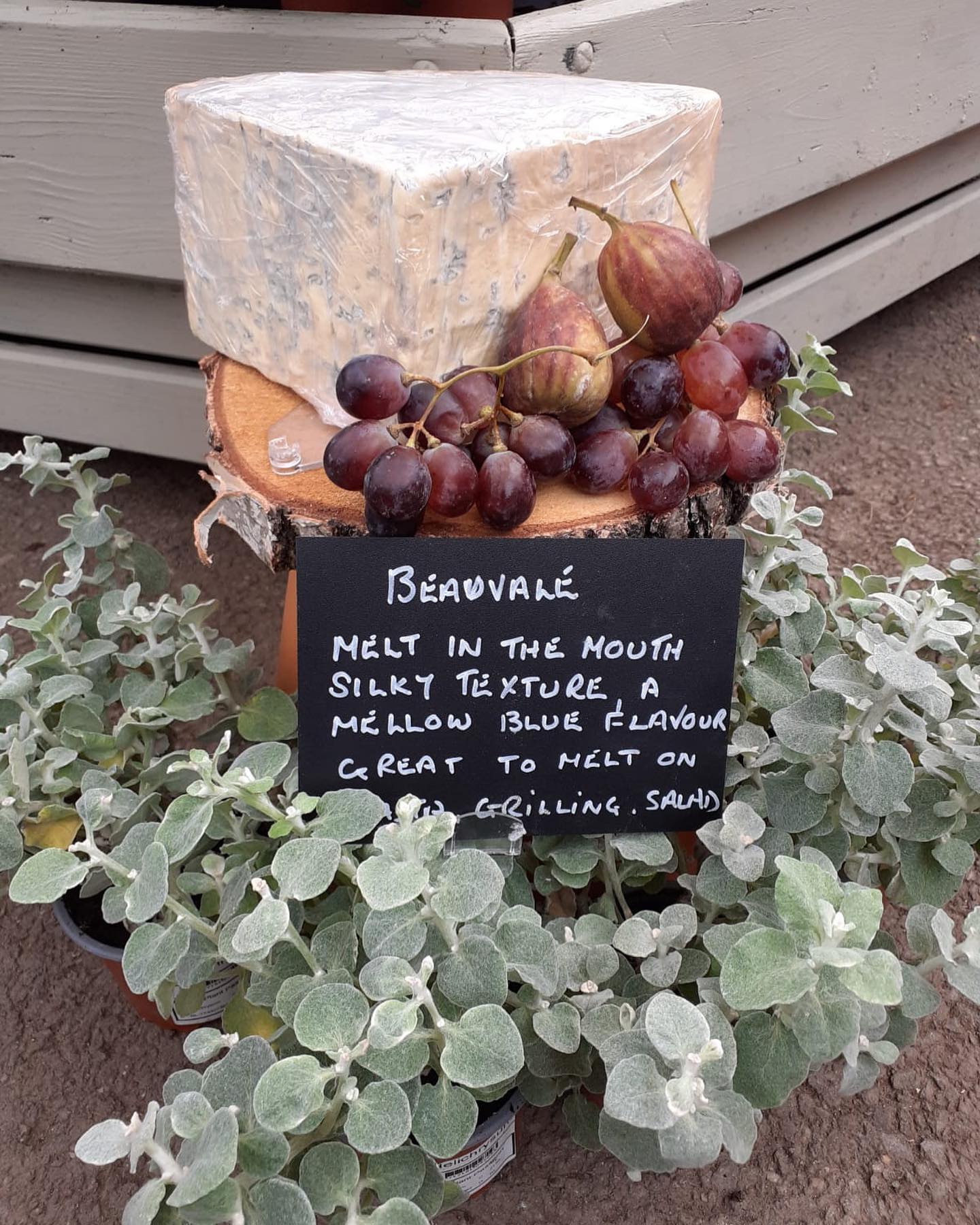 Perfect for the Fathers Day table?  We have 25% off the gorgeous #Beauvale cheese at the cheese counter in our Denbies shop. While stock last. 

#englishcheese #farmshop